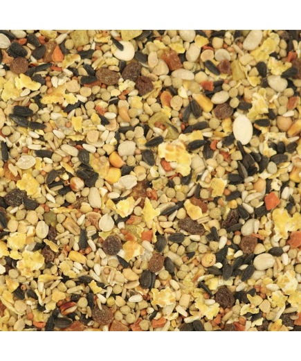 Hagen Gourmet Parrot Seed Mix 2kg